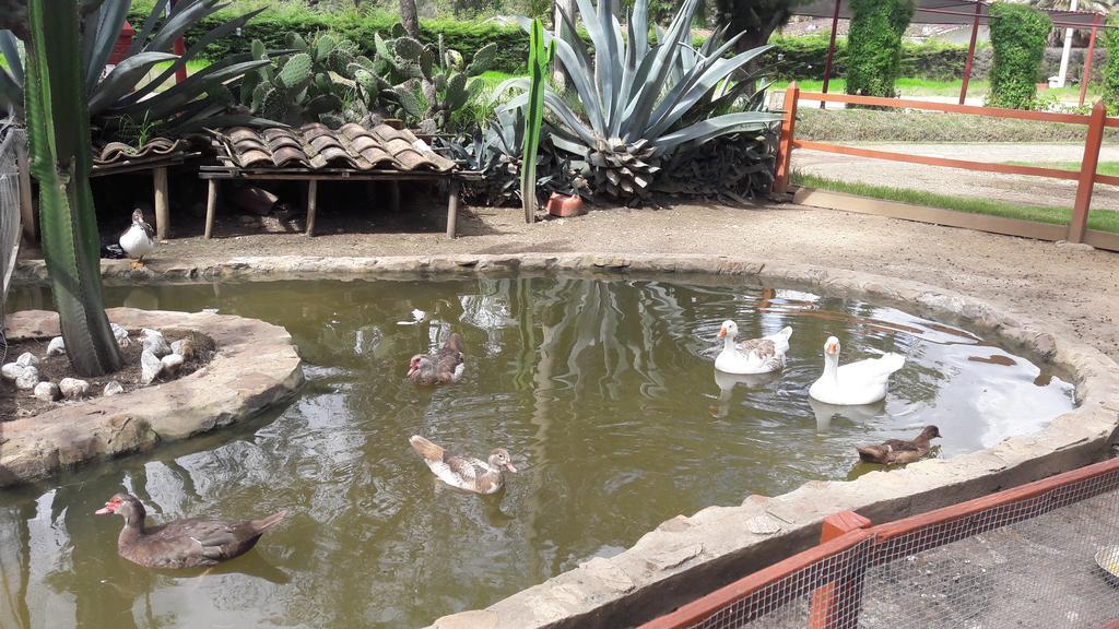 Hotel & Spa Laguna Seca Cajamarca Dış mekan fotoğraf